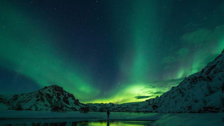 Sea Trips - Northern Lights and Whale Watching on a yacht in Iceland