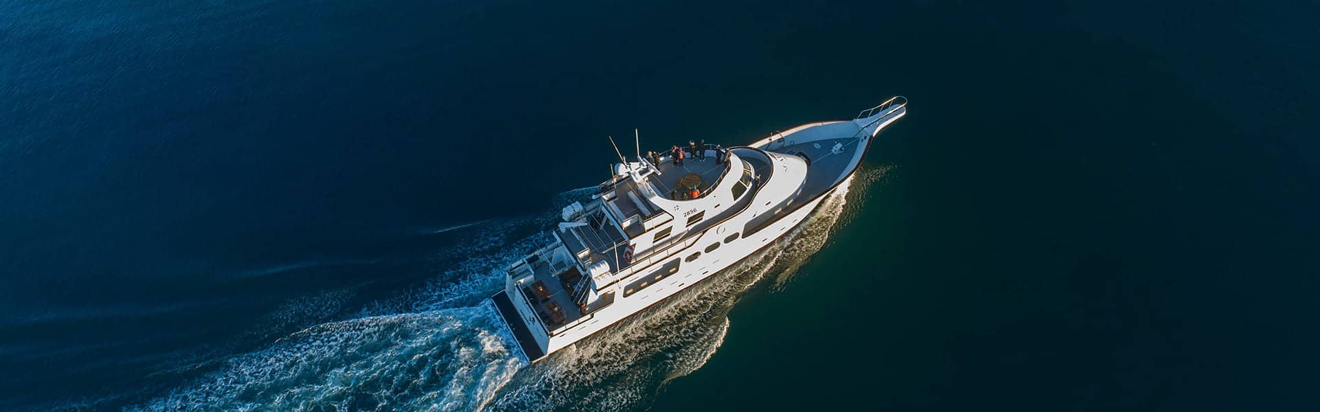 photograph of the luxury super yacht Amelia rose. It can be hired privately or join to go whale watching