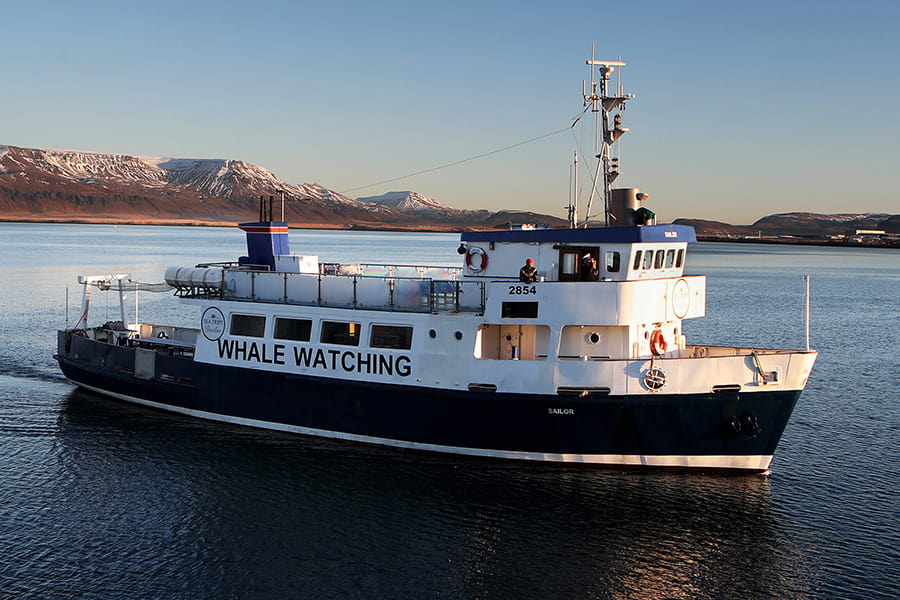 get on boat trips from Reykjavik, Our boat called Sailor