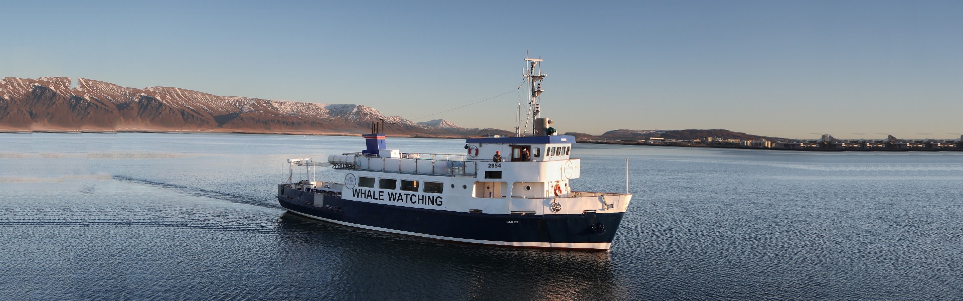 image of the boat Sailor, used for whale watching from Reykjavik in Iceland