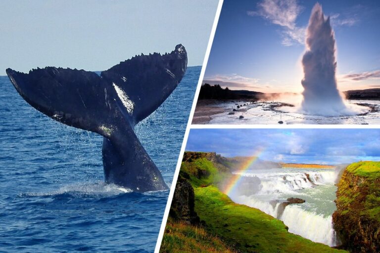 whale watching and golden circle tour ring road