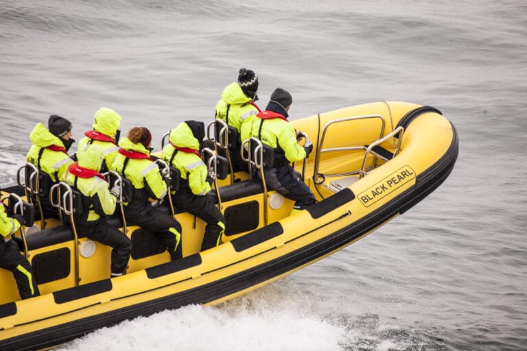 Whale Watching by RIB Speedboat in Reykjavik, Iceland