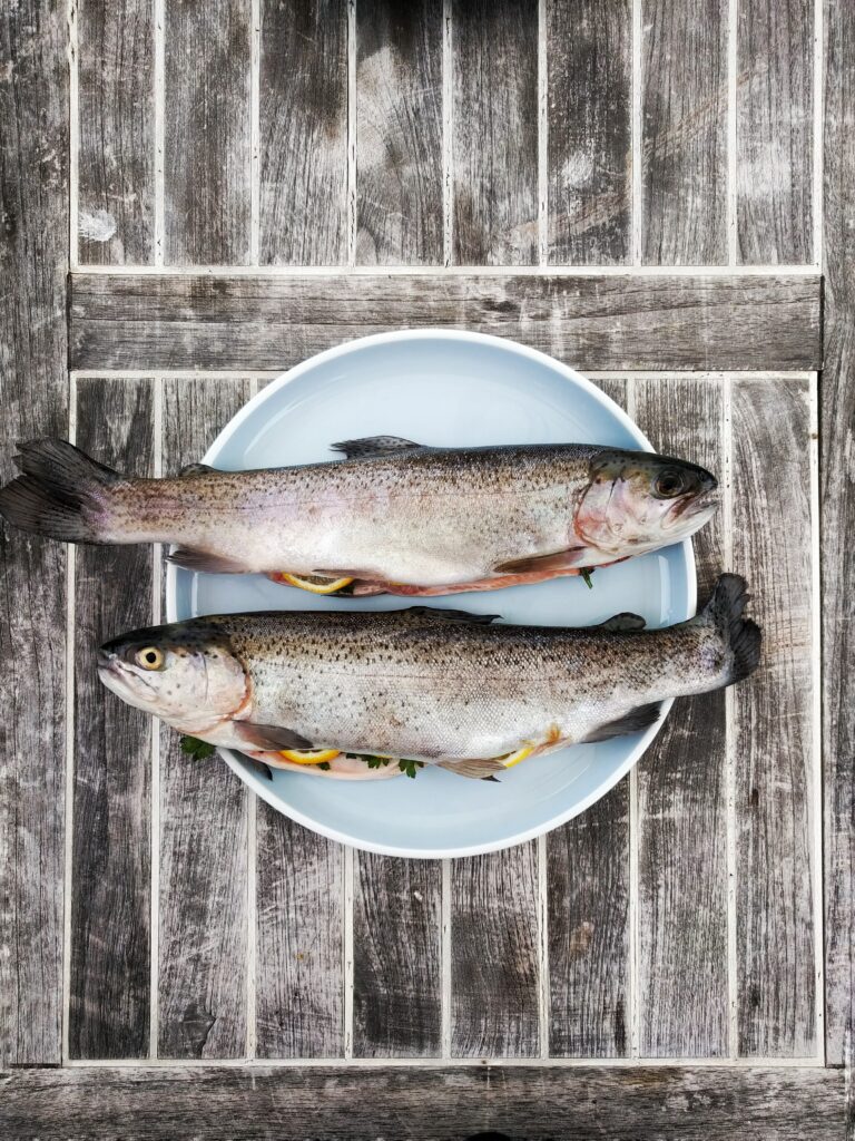 fish in Iceland