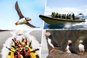 lundaskodun - puffin tour on a speed boat in Reykjavik, Iceland. A split image combining people and puffins and speedboats.