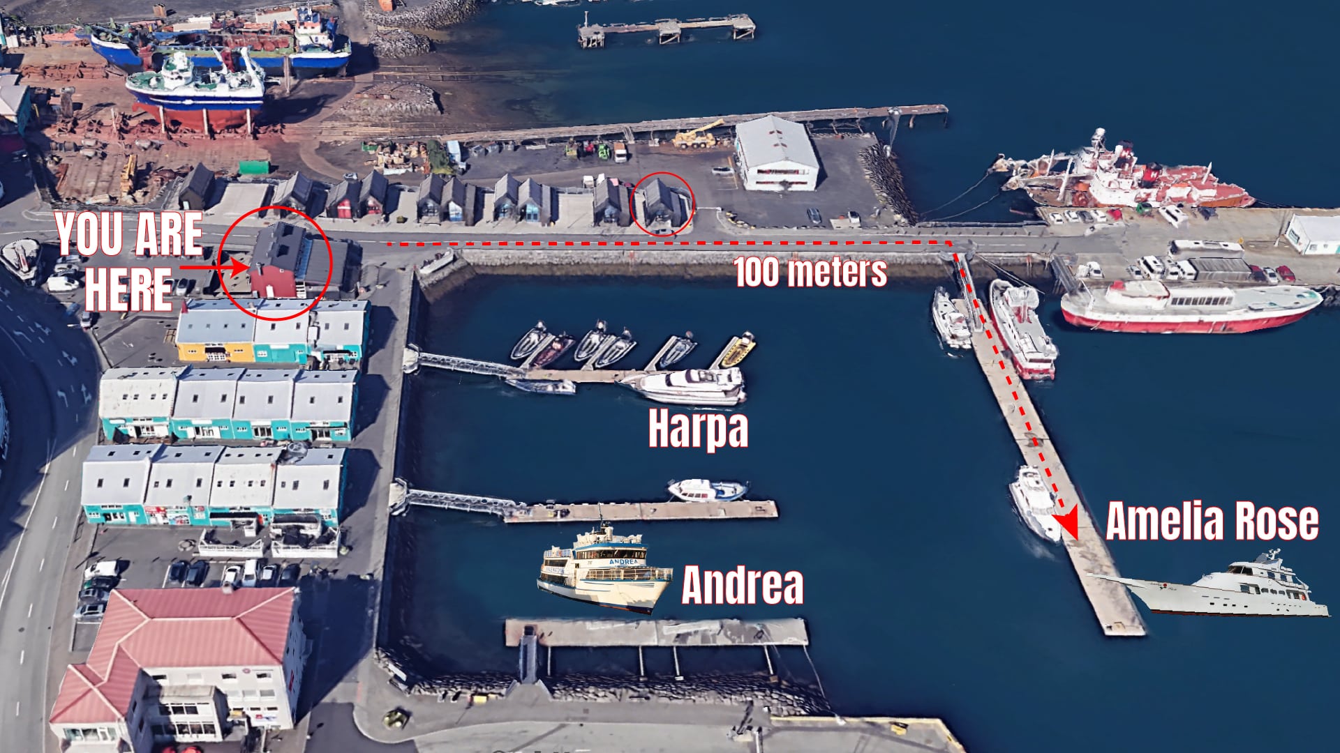 Amelia, Harpa and Andrea