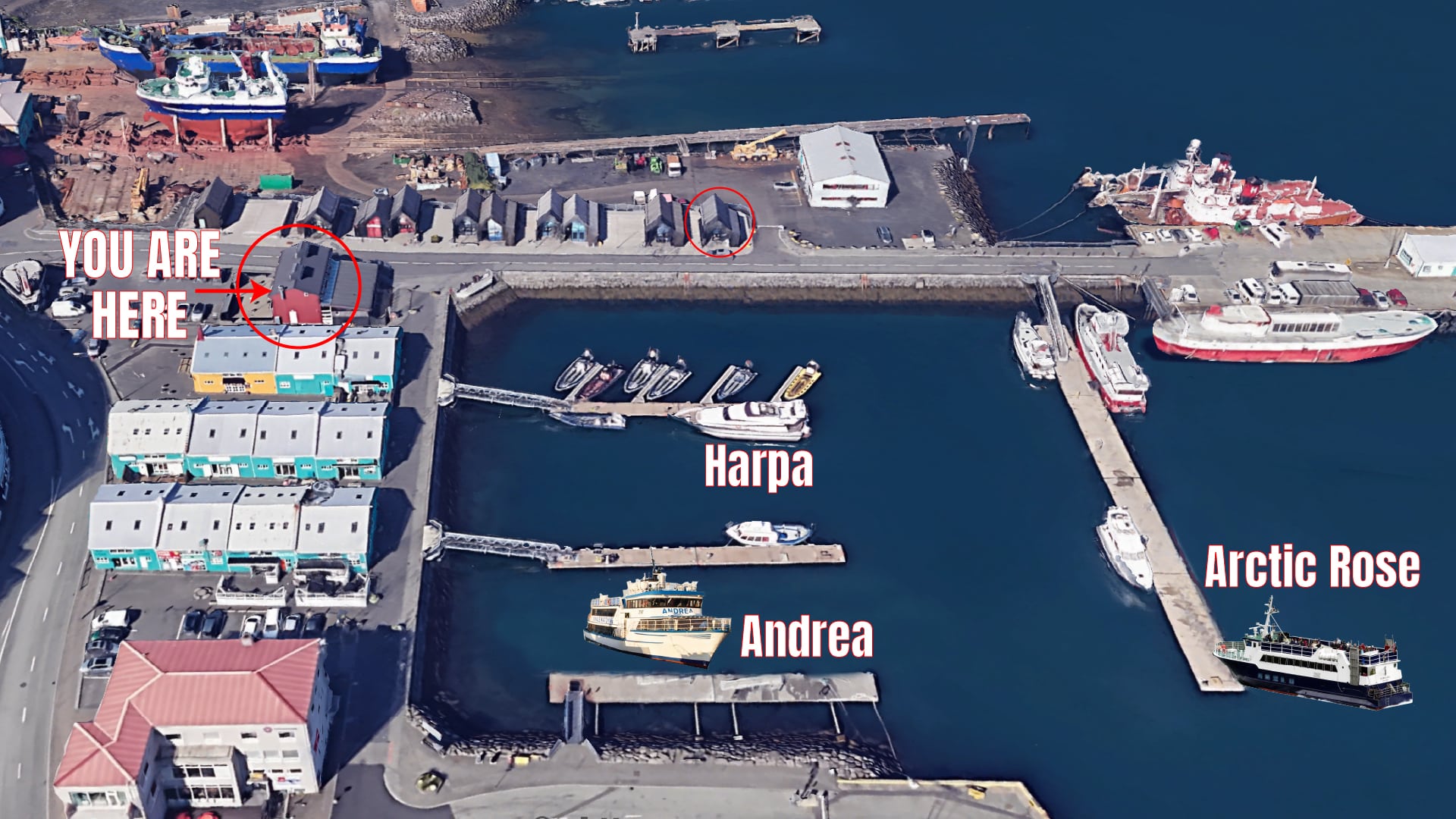 Arctic, Andrea and Harpa