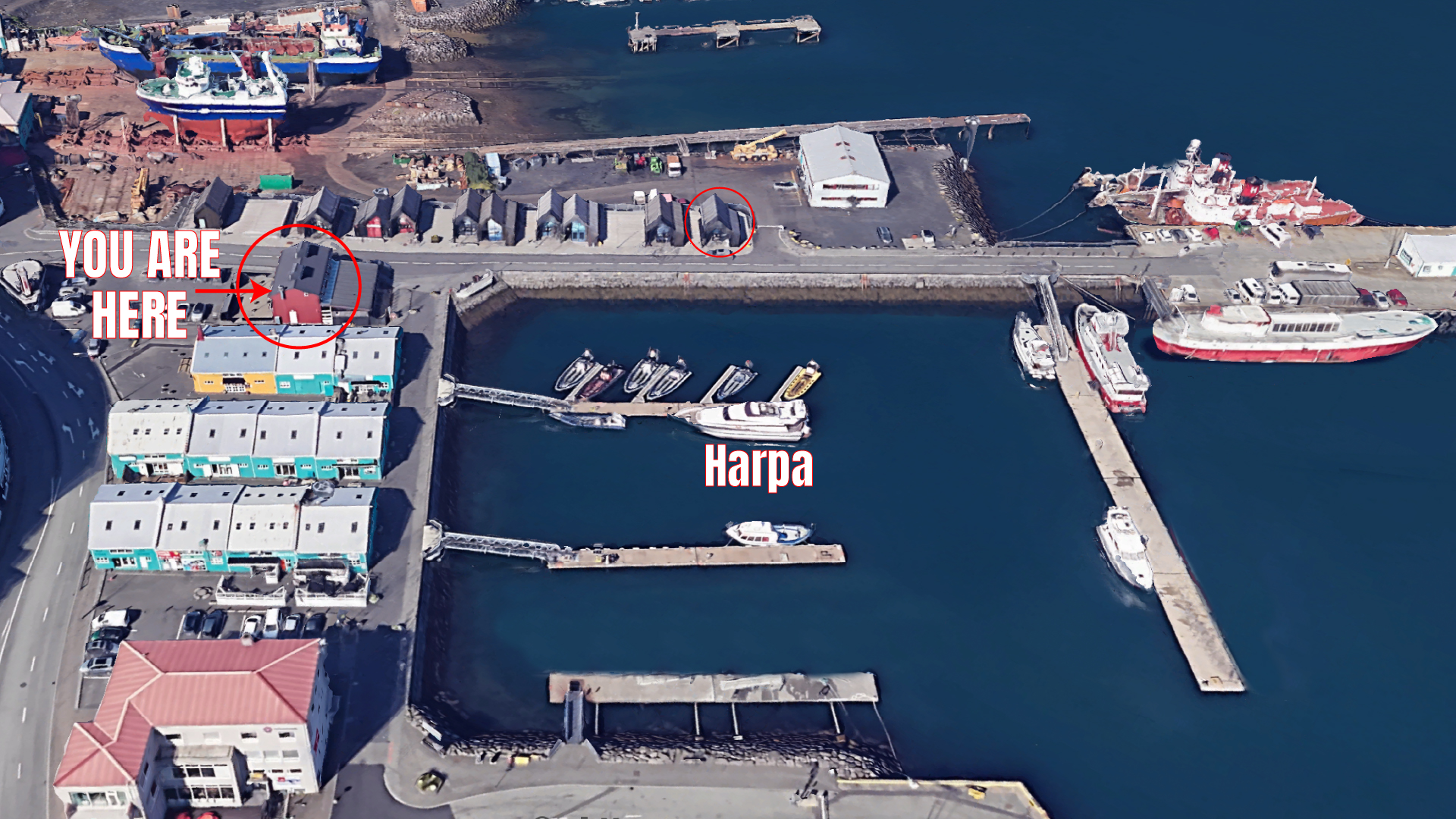 Harpa