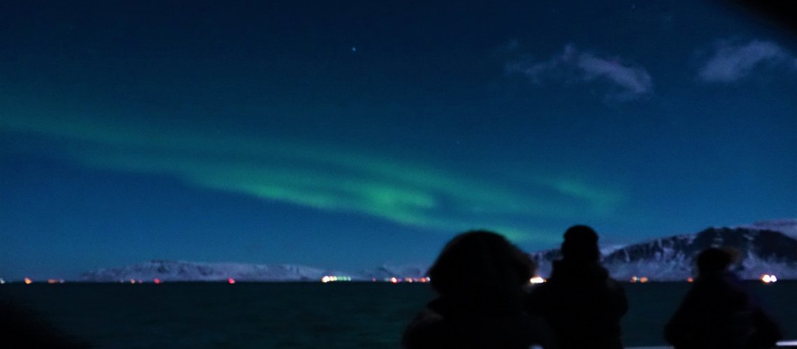 northern lights reykjavik december